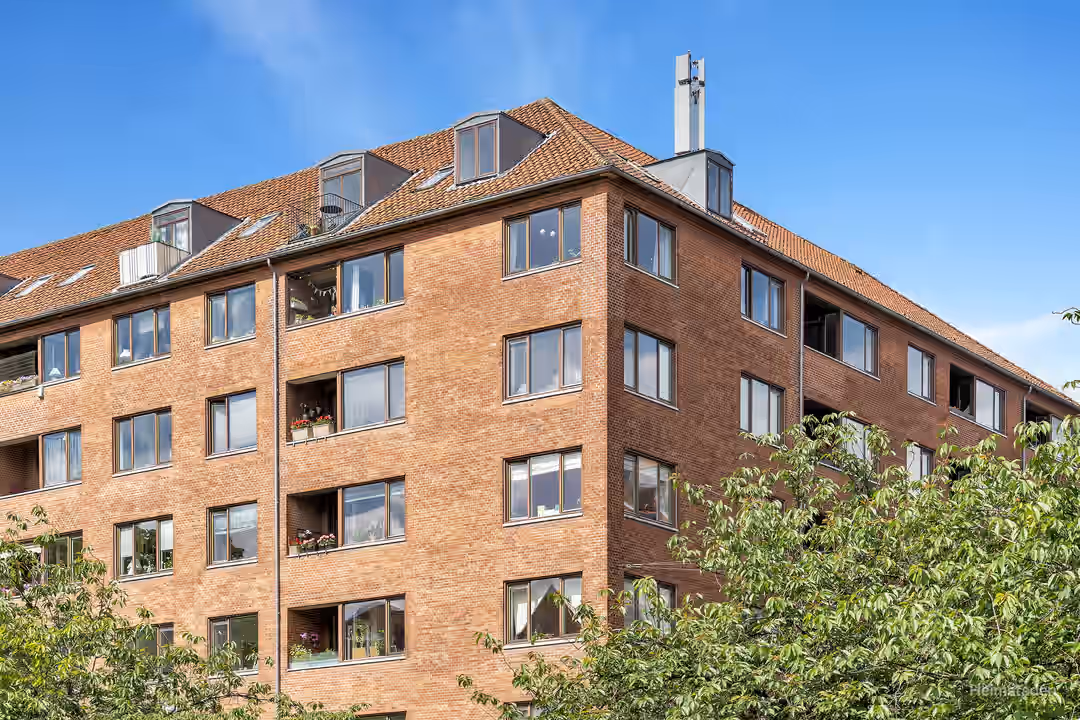 Billede fra lejemålet på Hostrups Have 50, 1954 Frederiksberg C
